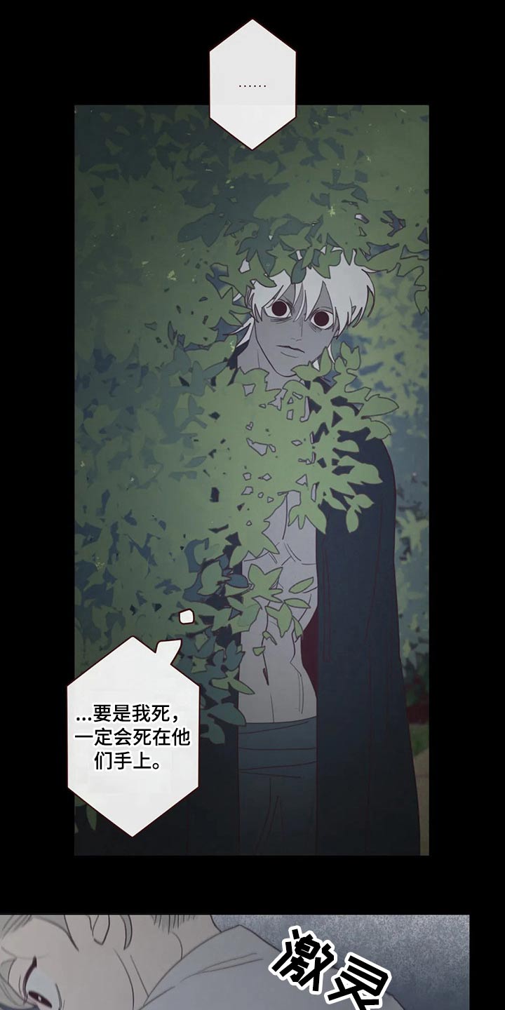 《山鬼效灵》第139章物品 第14页