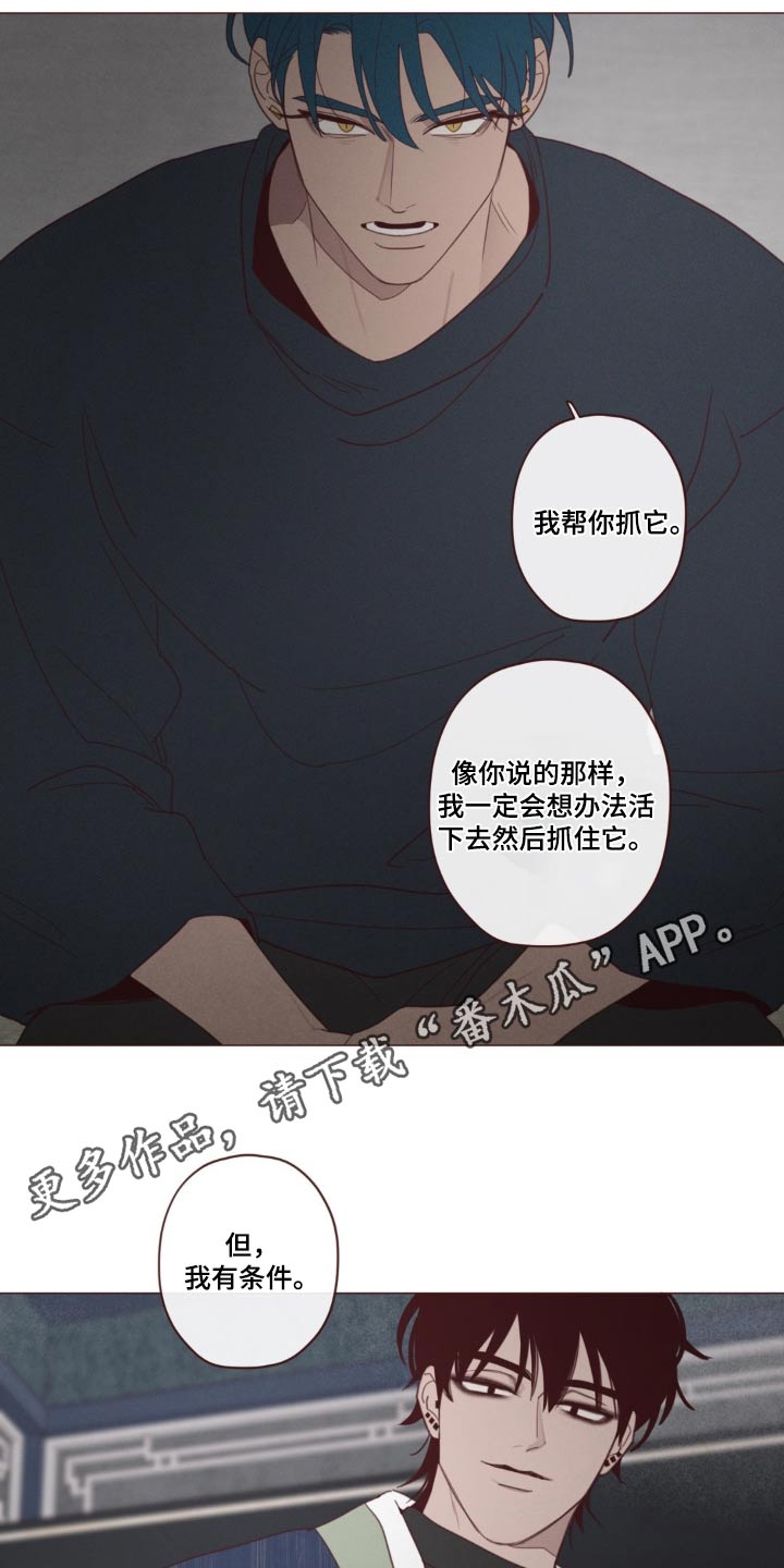 《山鬼效灵》第181章选择 第18页