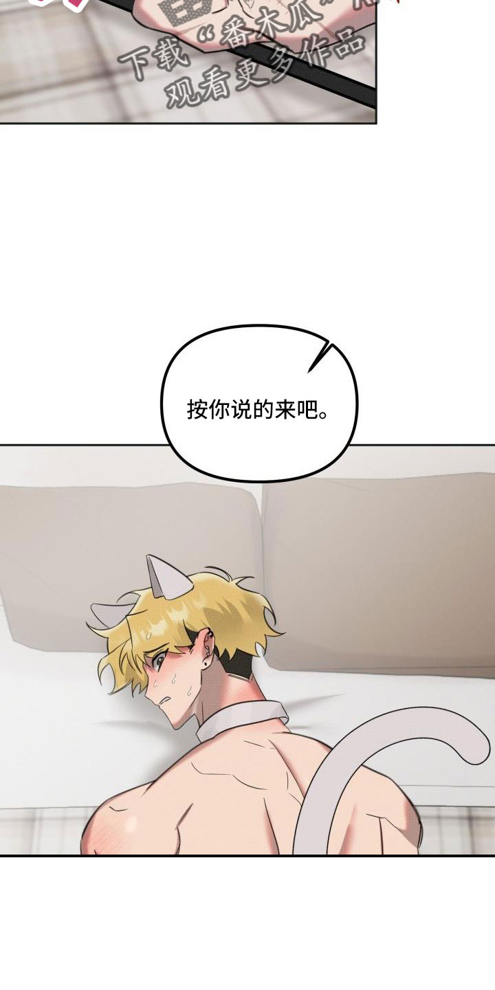 《该死的条约》第30章【番外】甜蜜幸福的生活 第13页