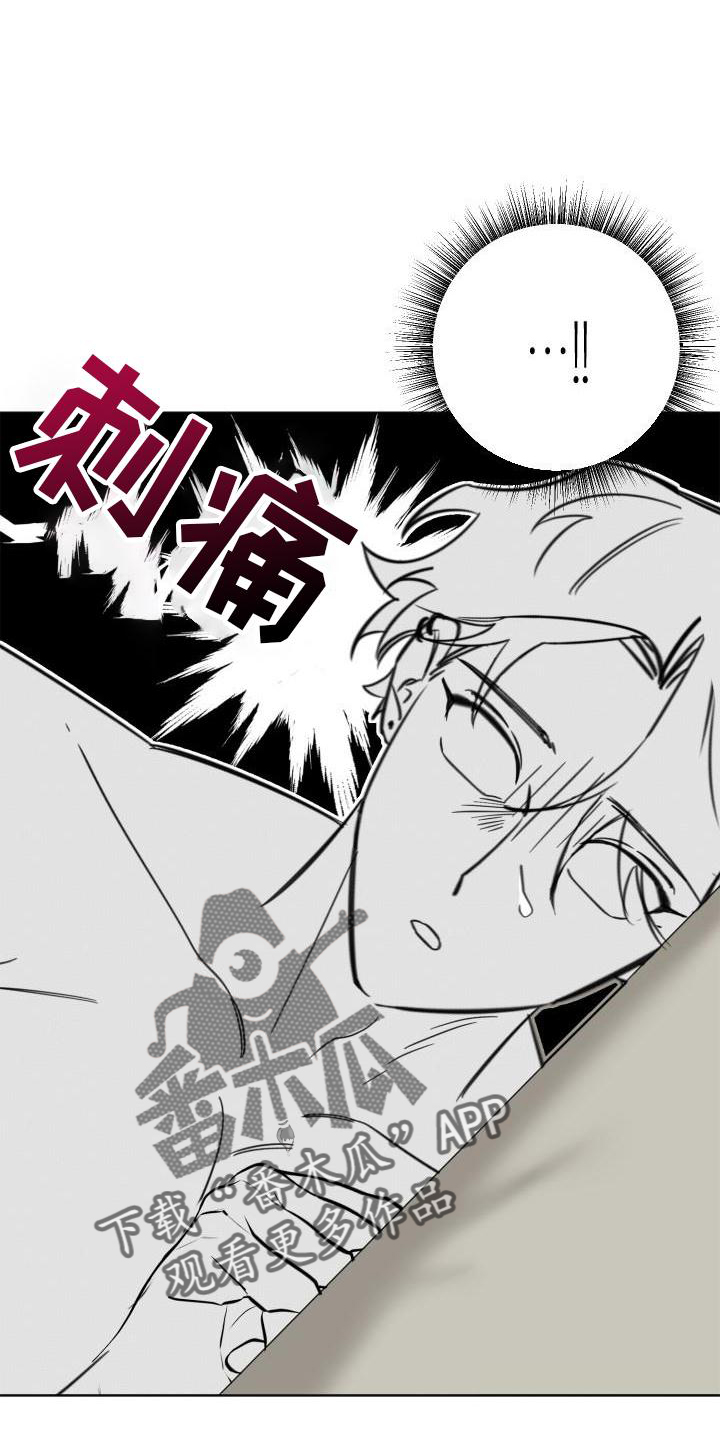 《该死的条约》第18章承认 第17页