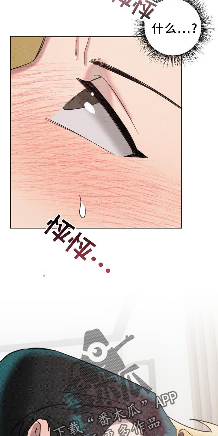 《该死的条约》第19章哭泣 第17页