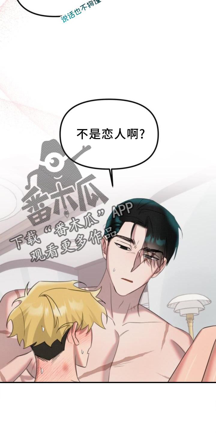 《该死的条约》第20章恋人【完结】 第17页
