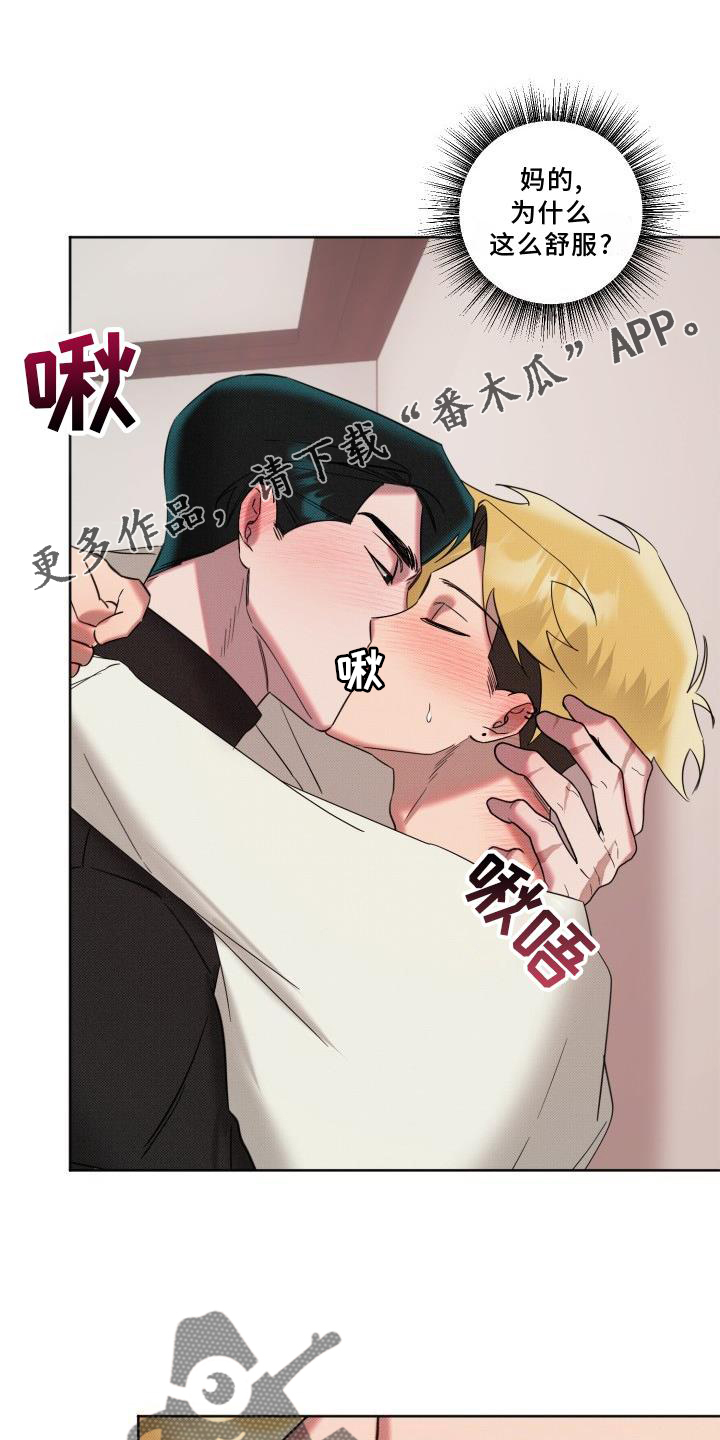 《该死的条约》第17章约定 第11页
