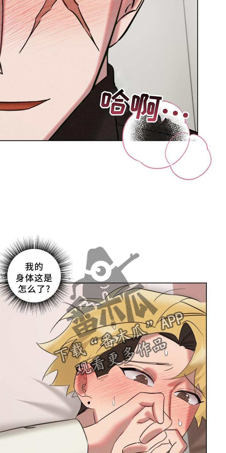 《该死的条约》第17章约定 第18页