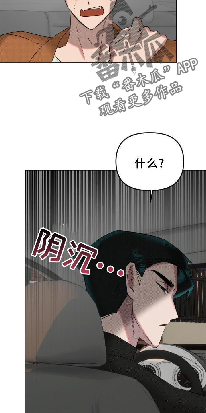 《该死的条约》第17章约定 第3页
