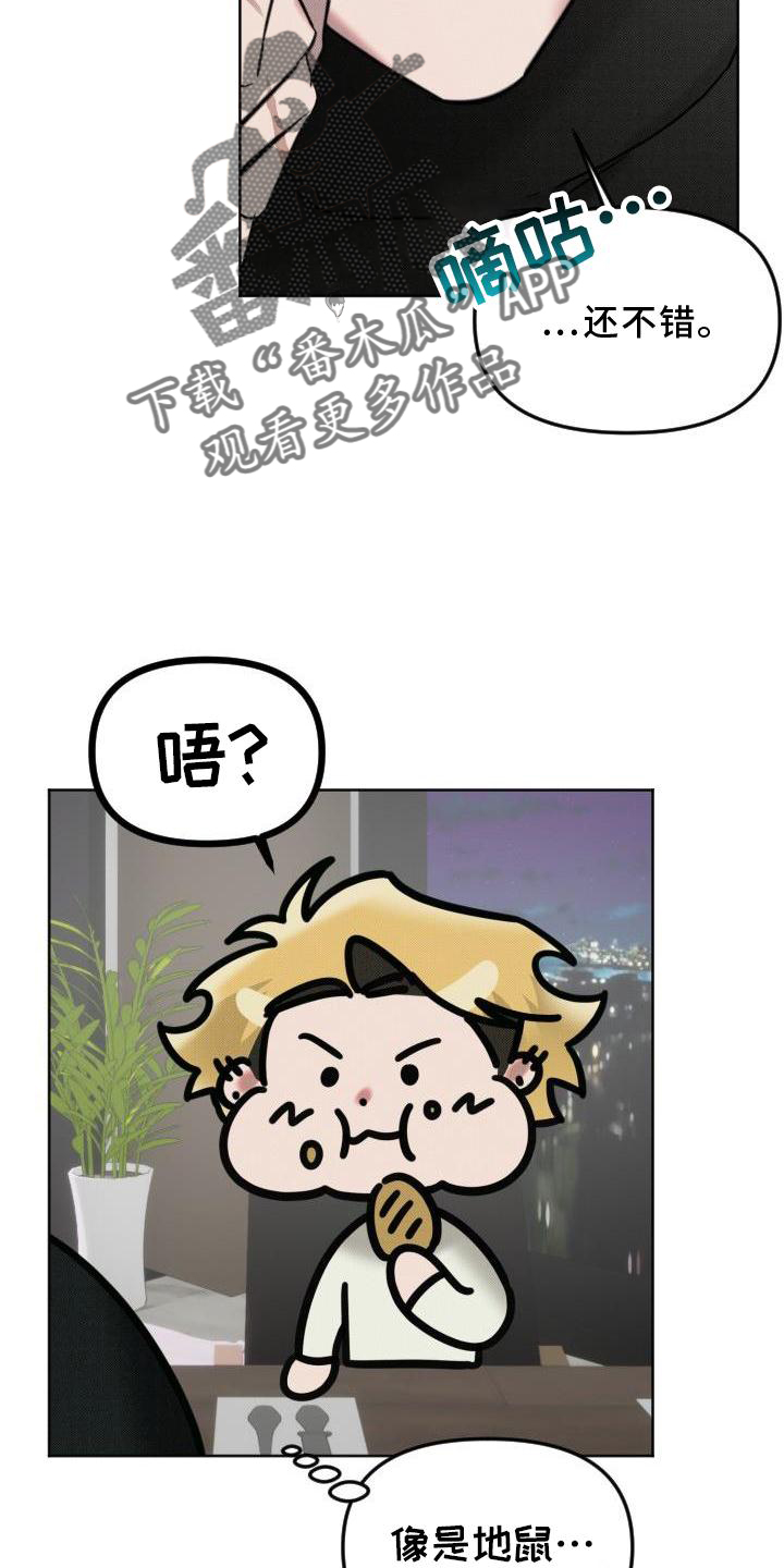 《该死的条约》第14章带走 第3页