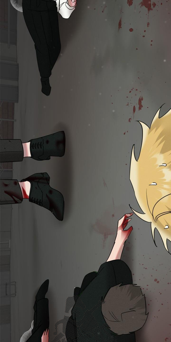 《该死的条约》第16章指责 第11页