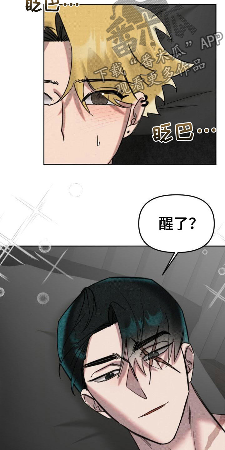 《该死的条约》第12章补偿你 第13页