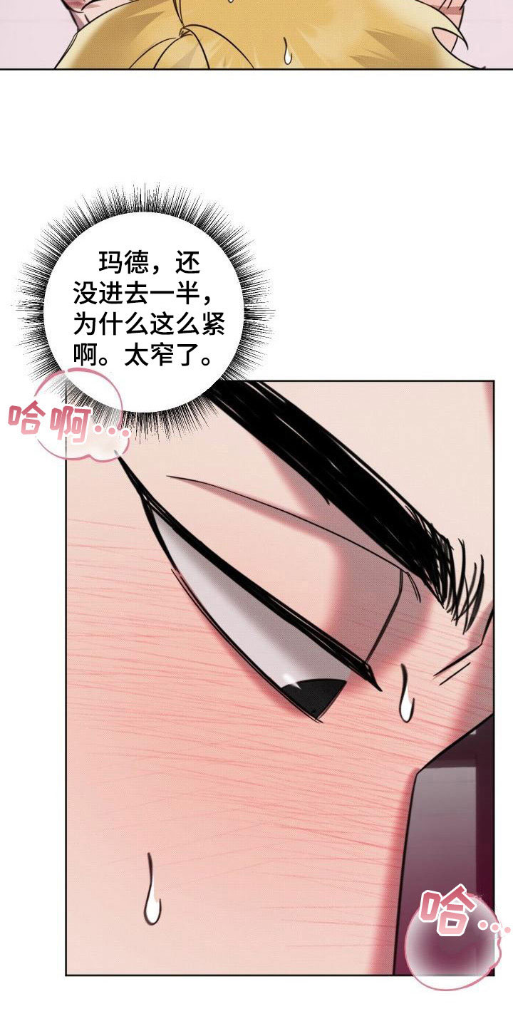 《该死的条约》第10章遵守约定 第24页
