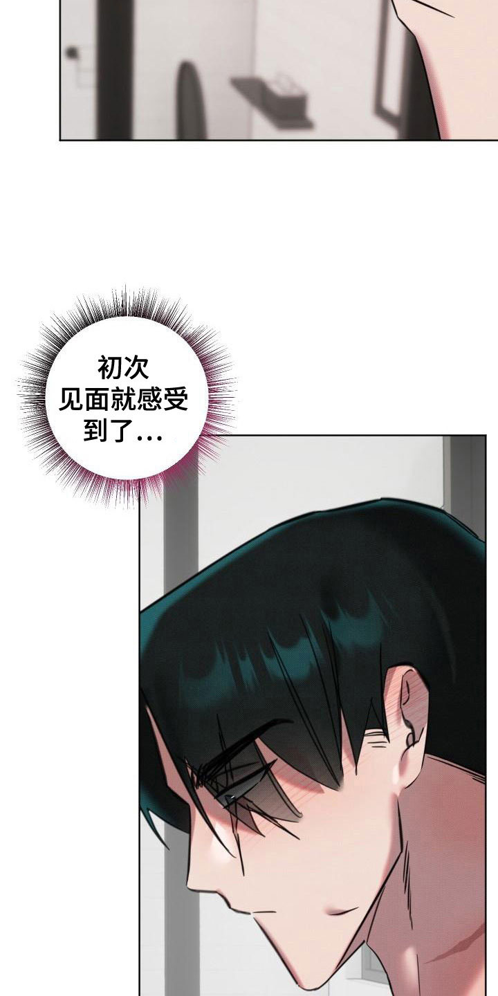 《该死的条约》第9章继续 第19页