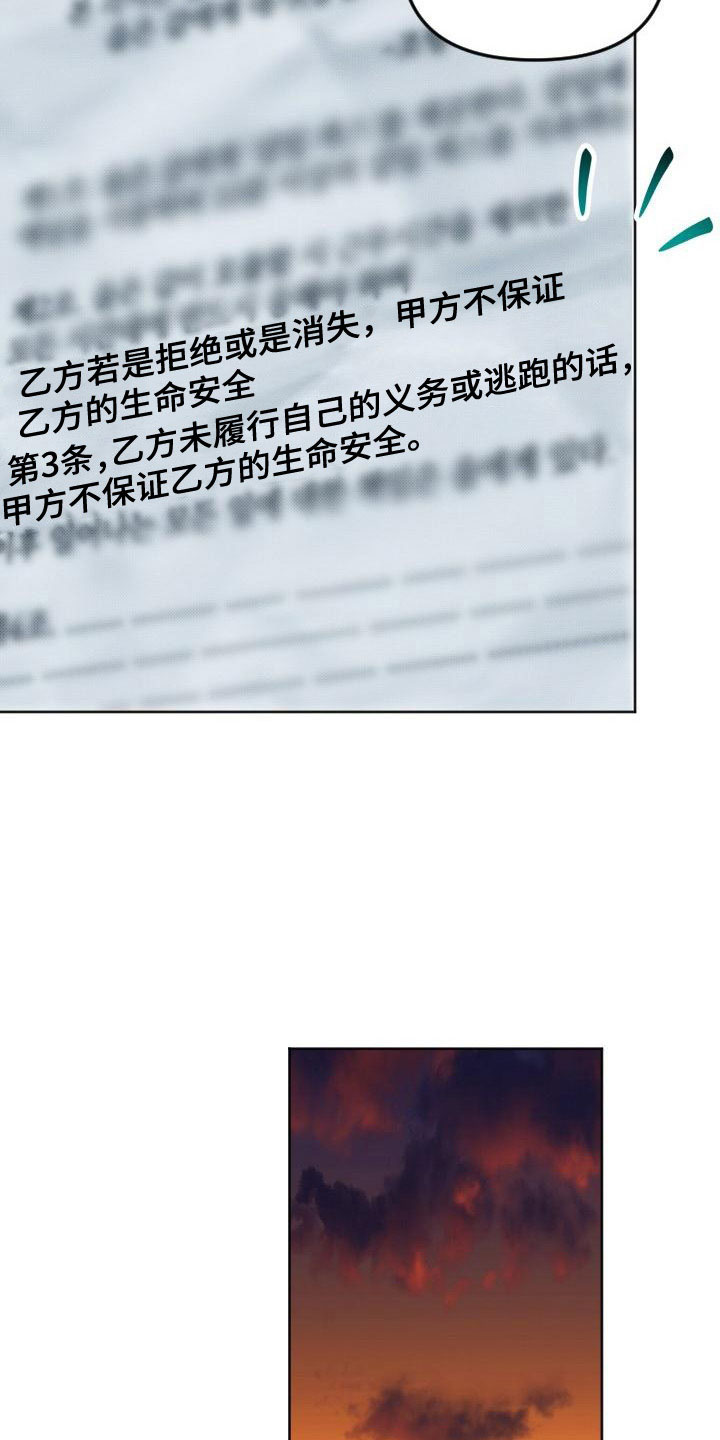 《该死的条约》第4章签约 第17页