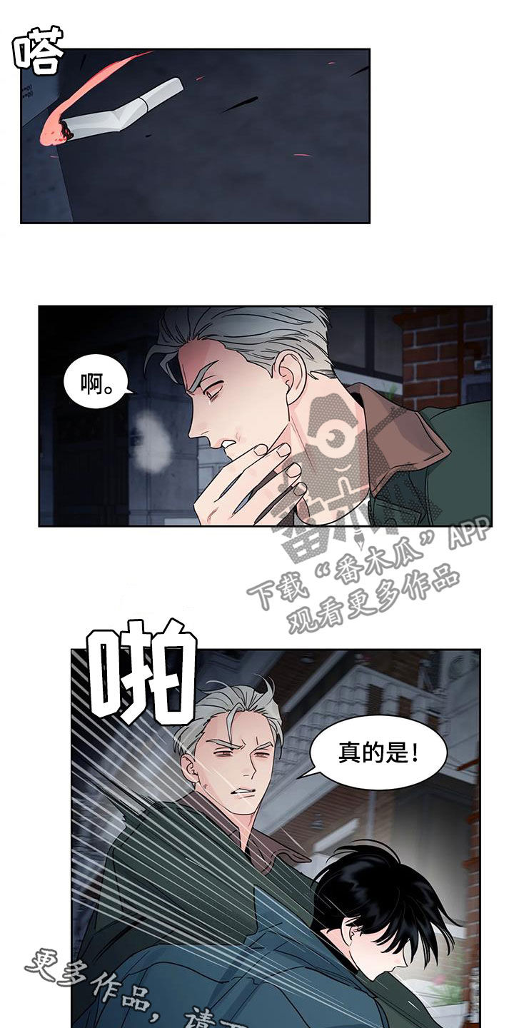 《阴影之下》第27章你这个混蛋 第16页