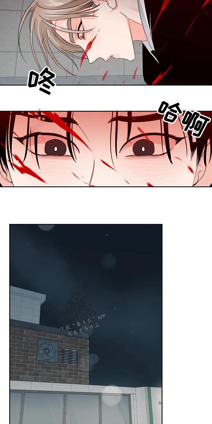 《阴影之下》第44章回家 第14页