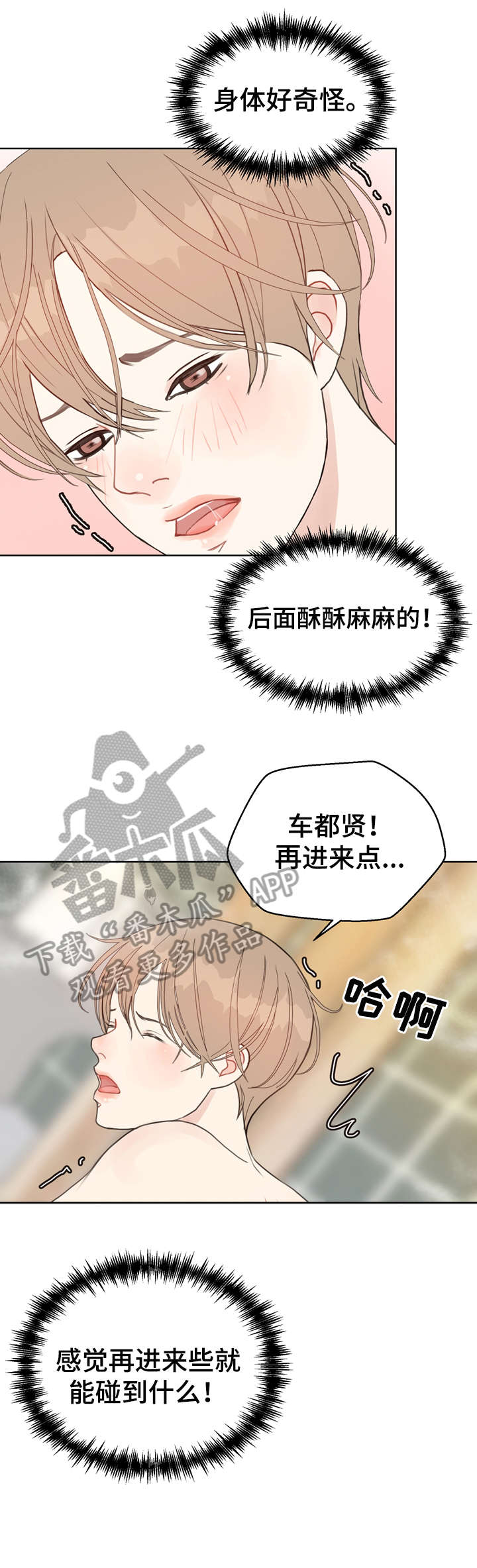 《法医疑云》第20章快乐 第15页