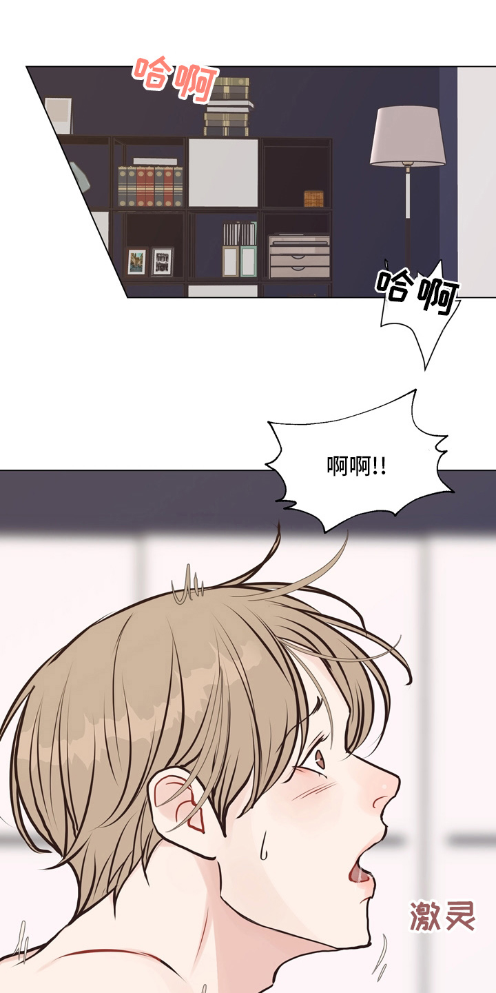 《法医疑云》第107章【第二季】一起面对 第14页