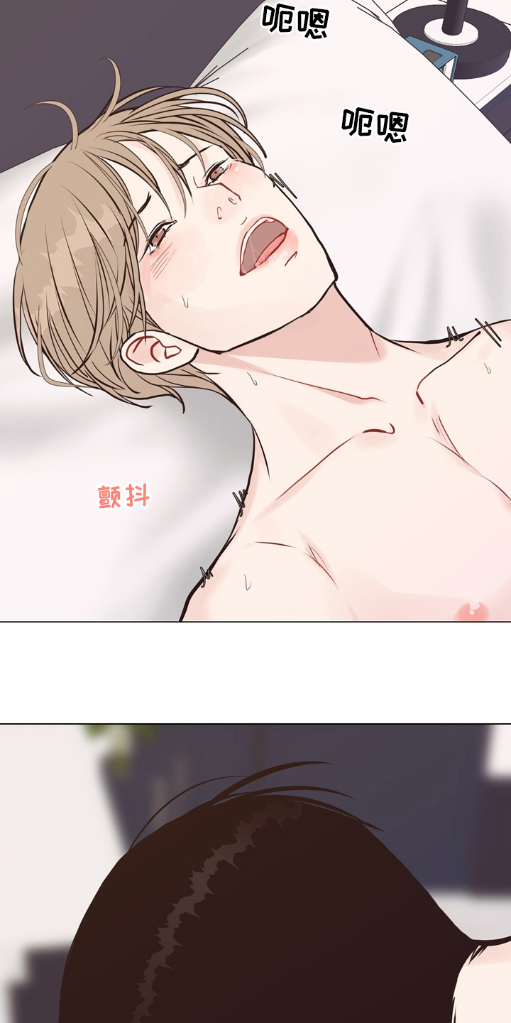 《法医疑云》第107章【第二季】一起面对 第20页