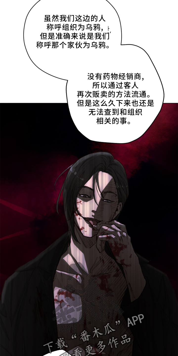 《法医疑云》第108章【番外】乌鸦 第11页