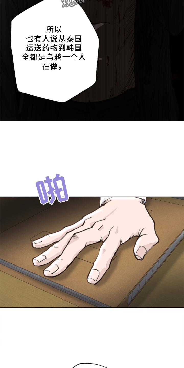 《法医疑云》第108章【番外】乌鸦 第12页