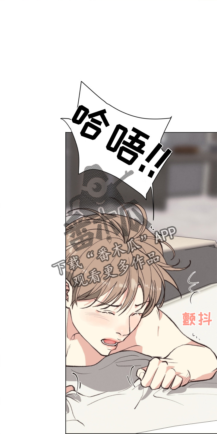 《法医疑云》第111章【番外】不变 第25页