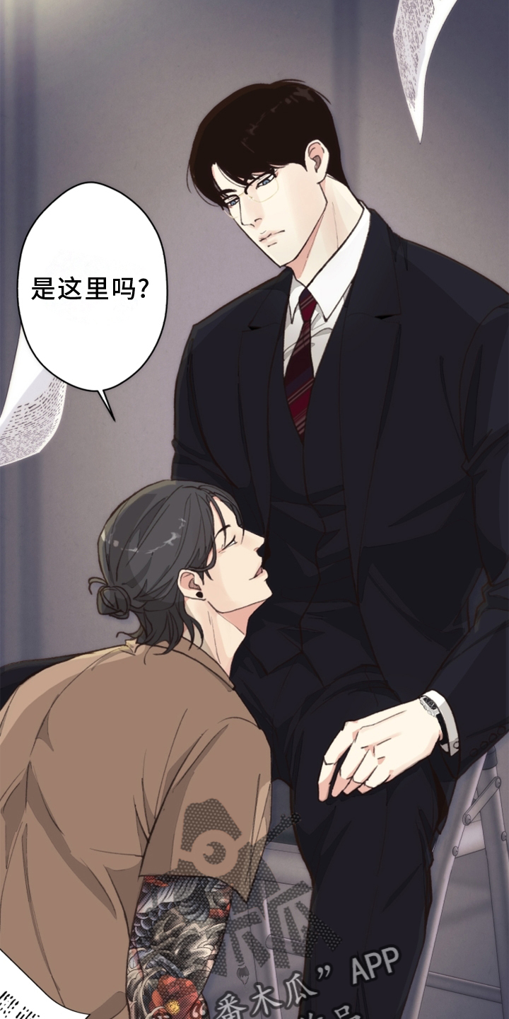《法医疑云》第115章【番外】触点 第5页