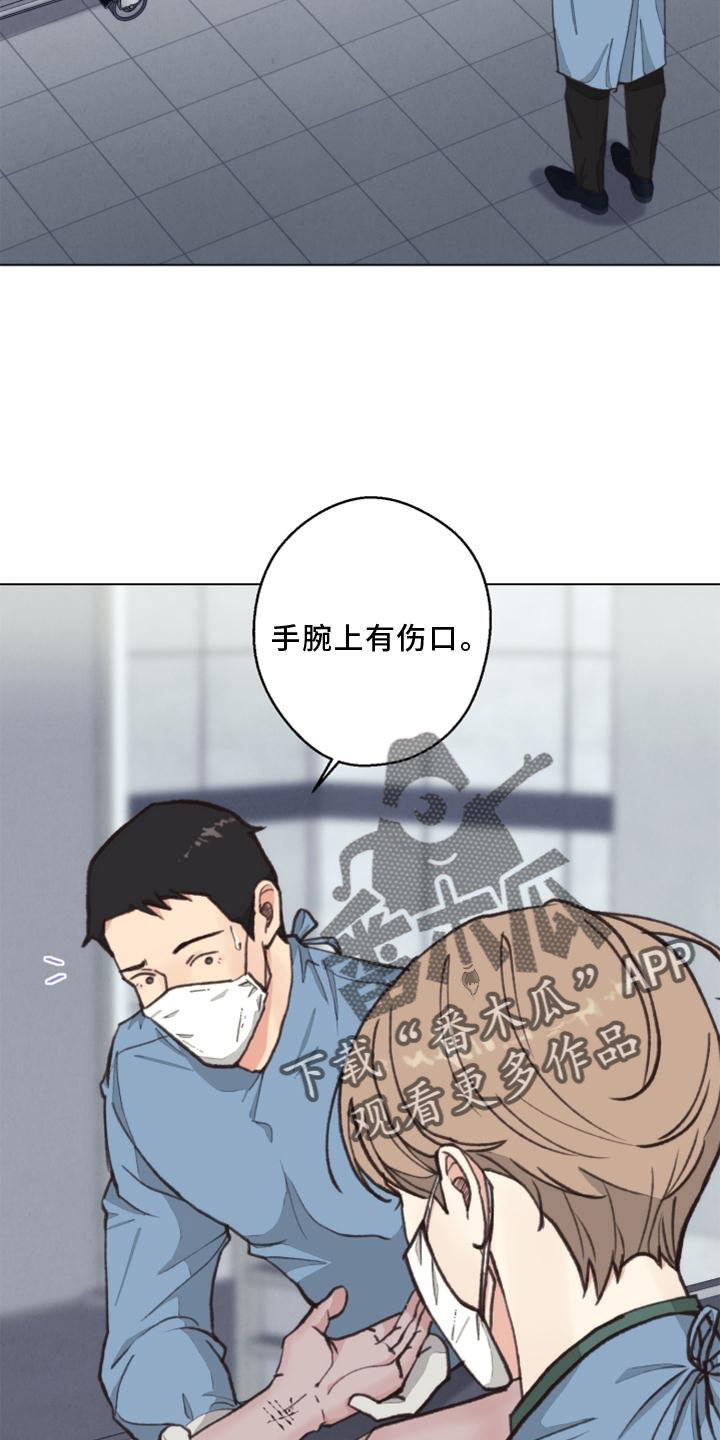 《法医疑云》第125章【番外】解刨 第20页