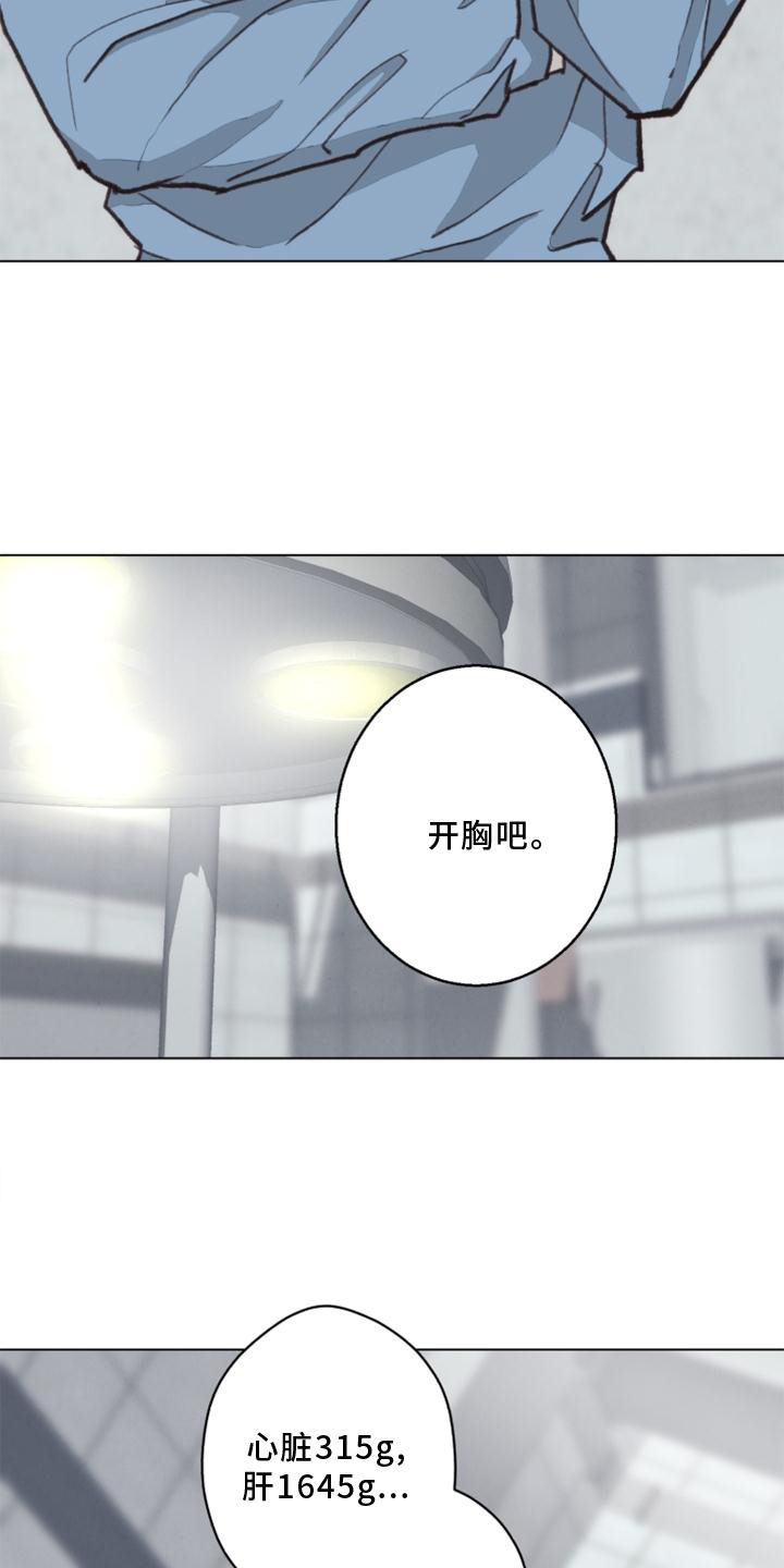 《法医疑云》第125章【番外】解刨 第23页