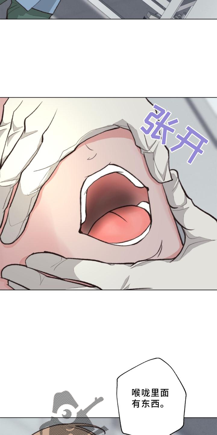 《法医疑云》第125章【番外】解刨 第25页