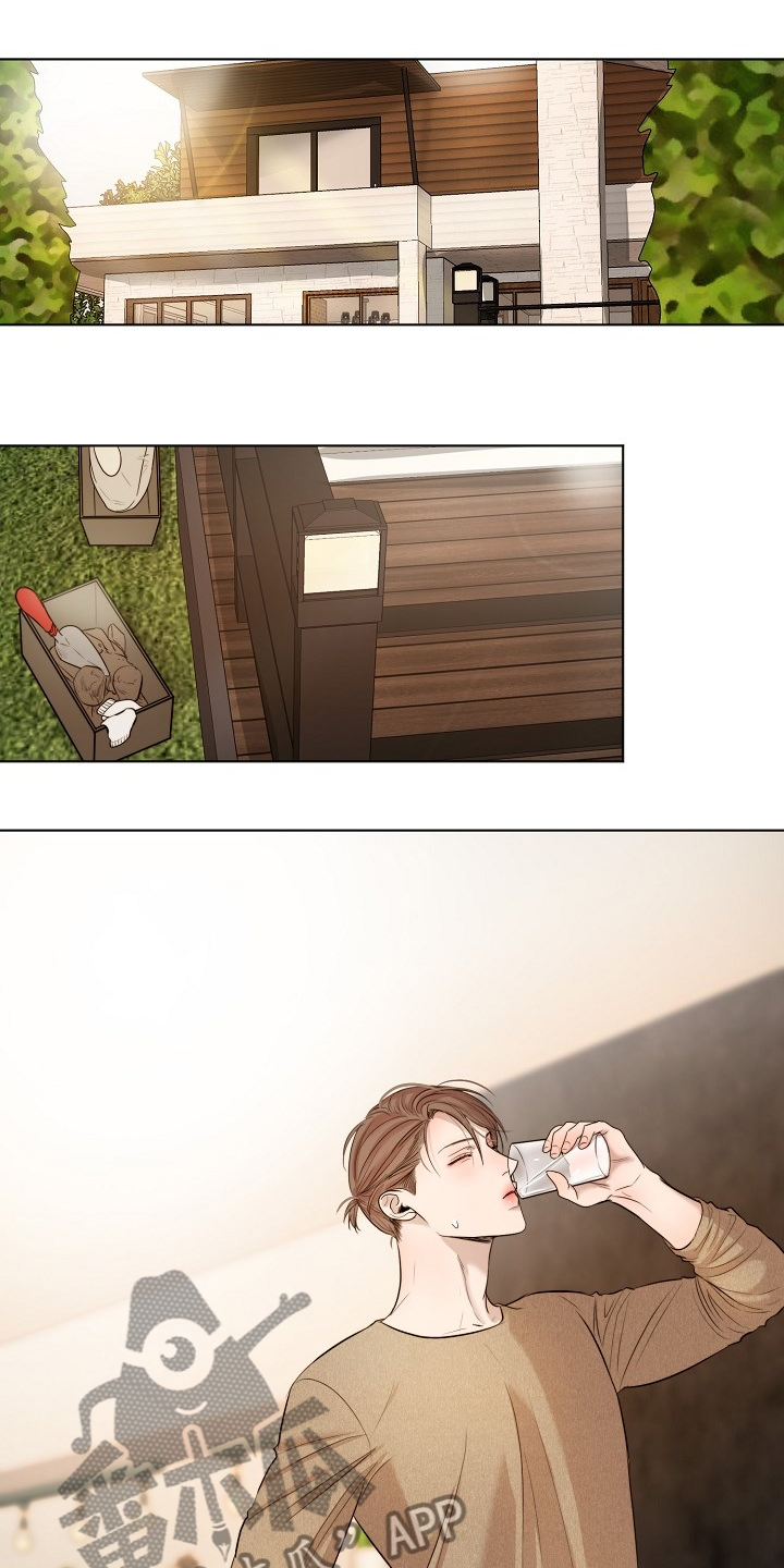 《意大利餐厅》第109章来的快去的更快 第1页