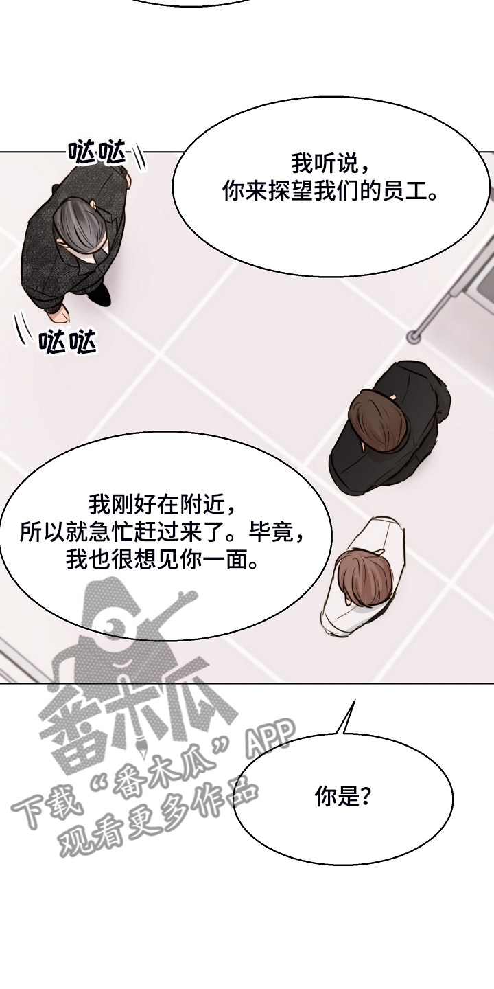 《意大利餐厅》第123章老板想见你一面 第15页