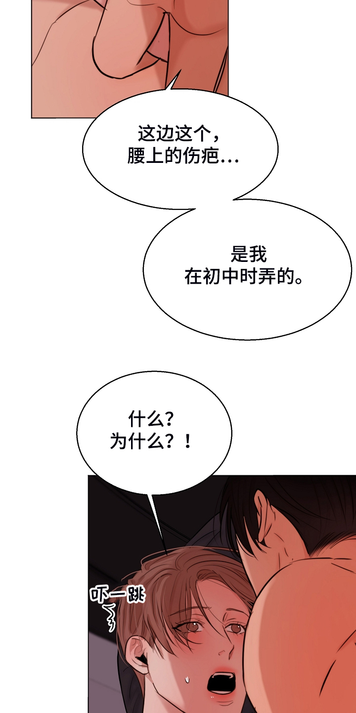 《意大利餐厅》第131章不明所以的伤 第19页