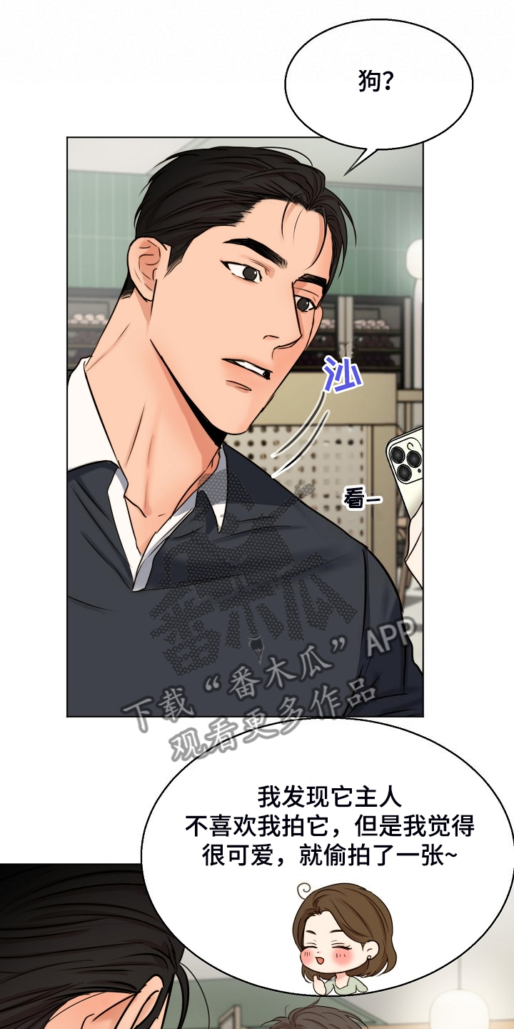 《意大利餐厅》第135章处对象的俩人 第21页
