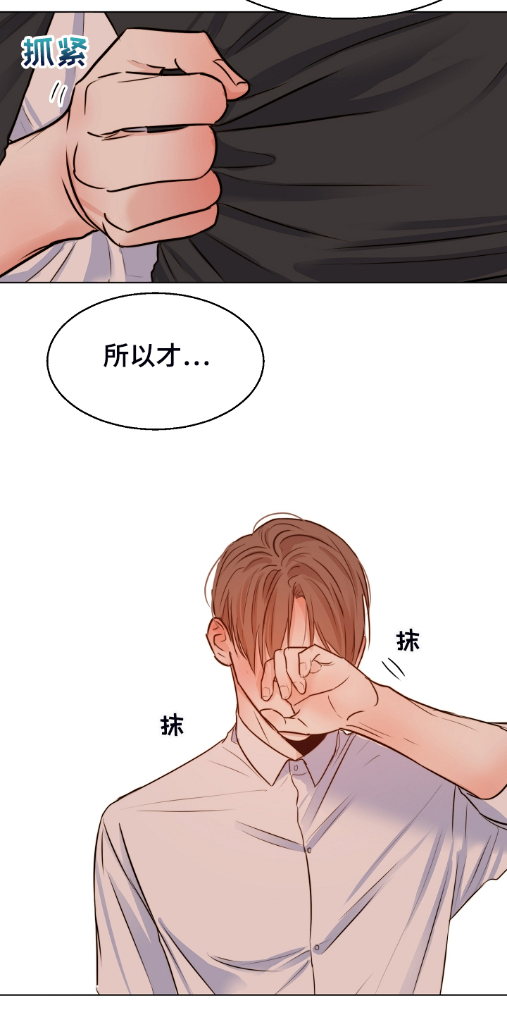 《意大利餐厅》第134章不再留恋 第19页