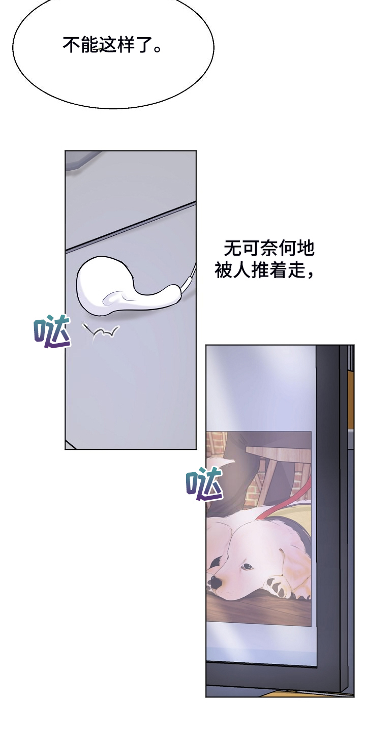 《意大利餐厅》第137章现在忙吗 第5页