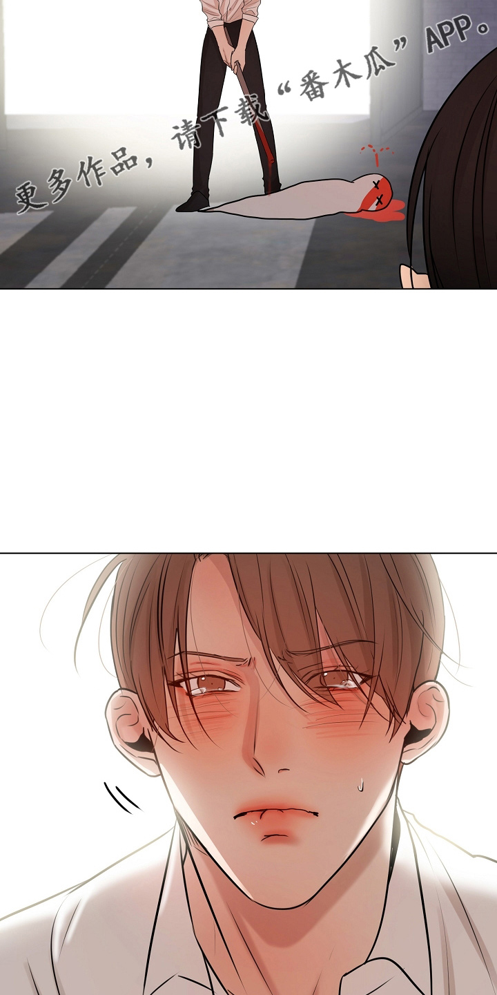 《意大利餐厅》第144章不能死 第10页