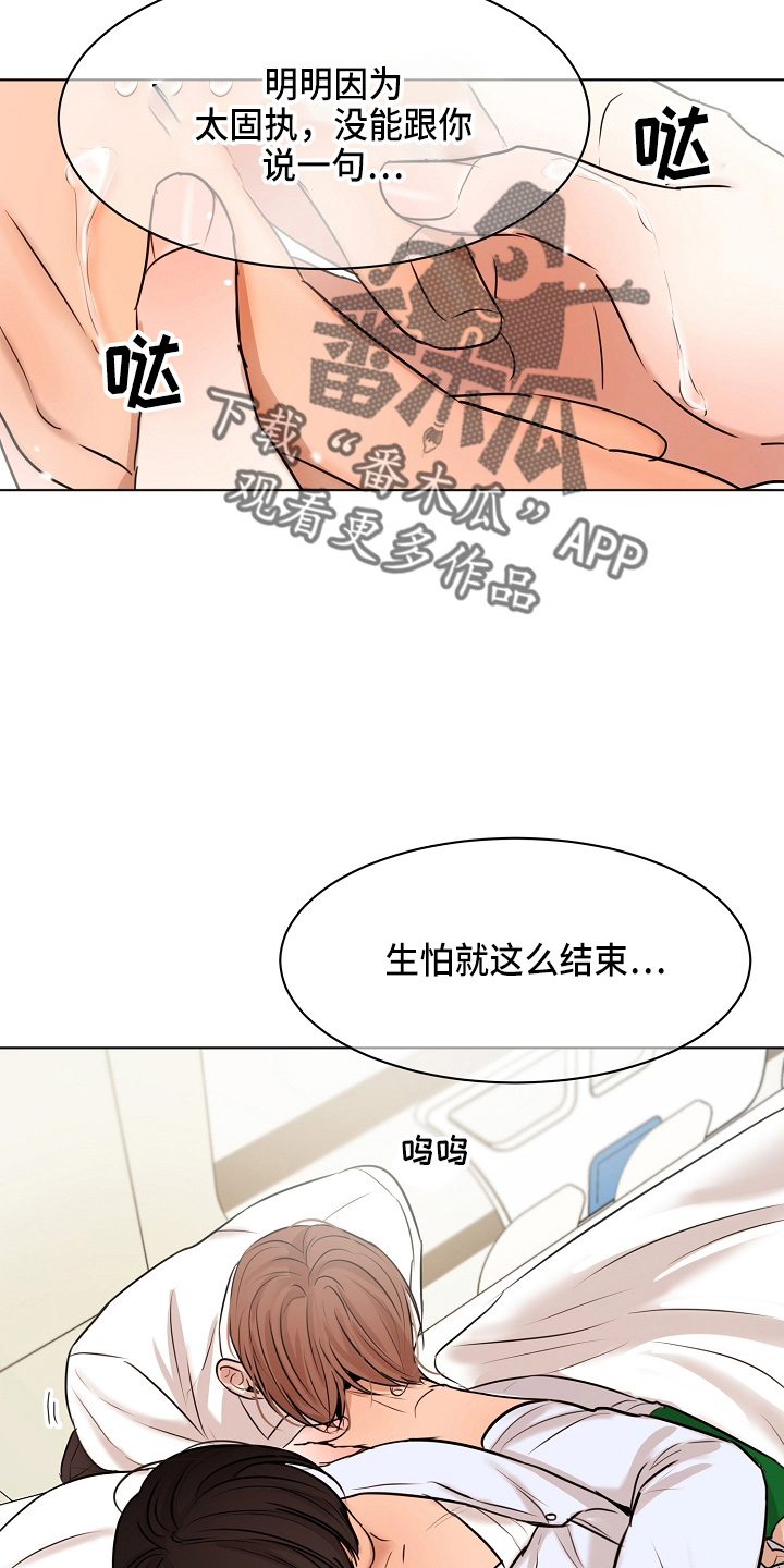 《意大利餐厅》第147章我喜欢你 第10页
