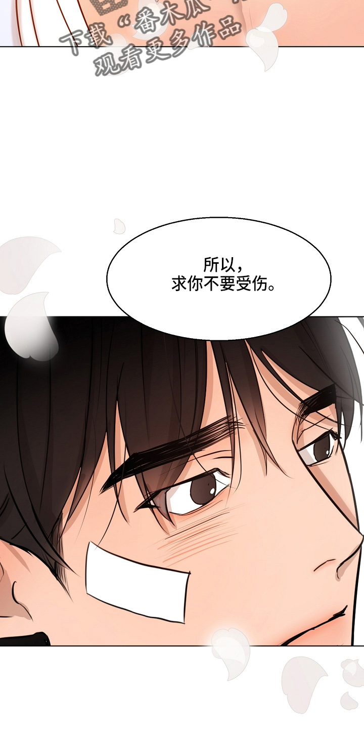 《意大利餐厅》第147章我喜欢你 第14页