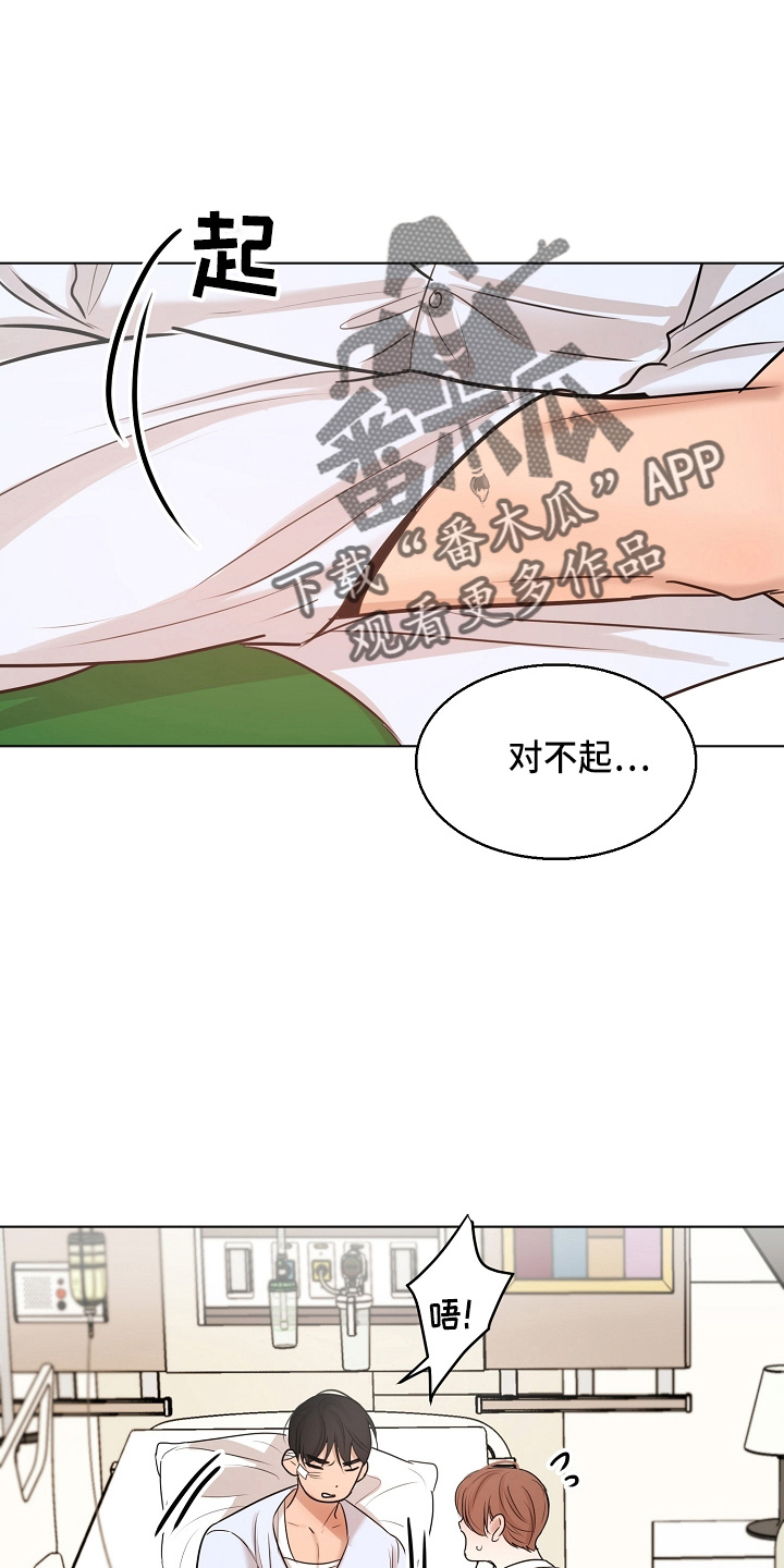 《意大利餐厅》第147章我喜欢你 第15页