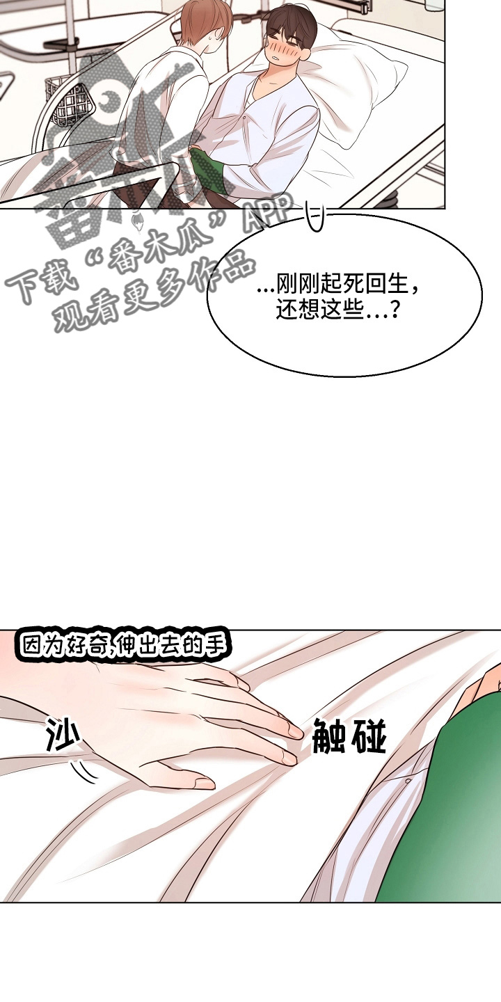 《意大利餐厅》第147章我喜欢你 第22页