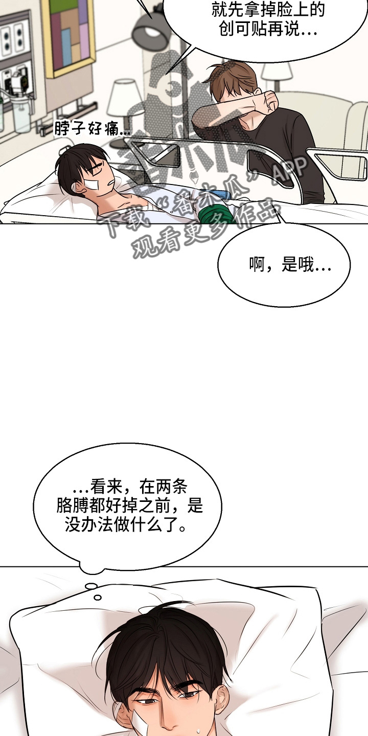 《意大利餐厅》第146章都莽撞 第2页