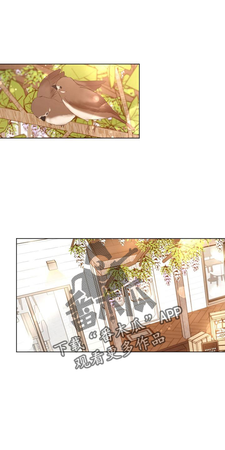 《意大利餐厅》第156章期待 第1页