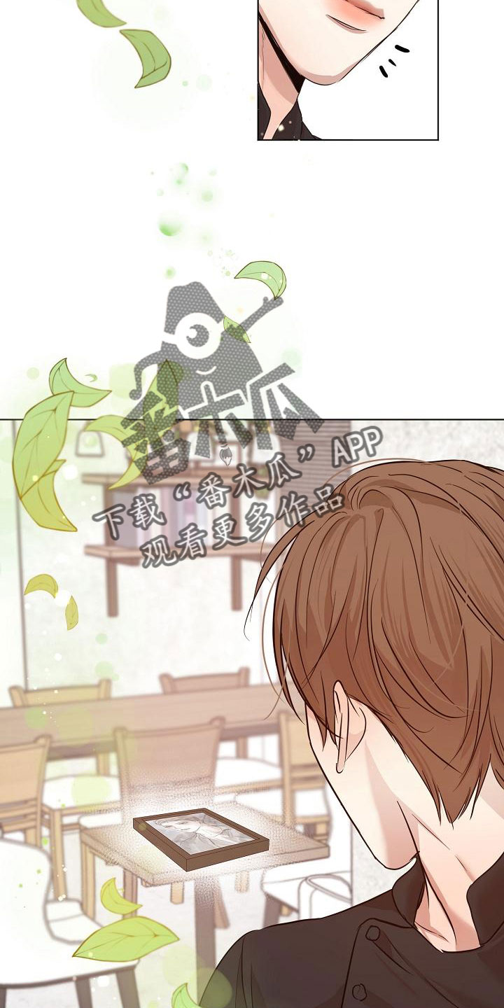 《意大利餐厅》第157章更加幸福 第15页