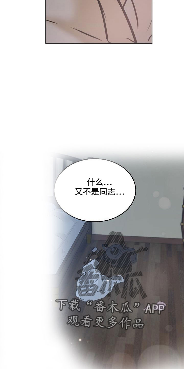 《意大利餐厅》第160章觉得可爱就行 第17页