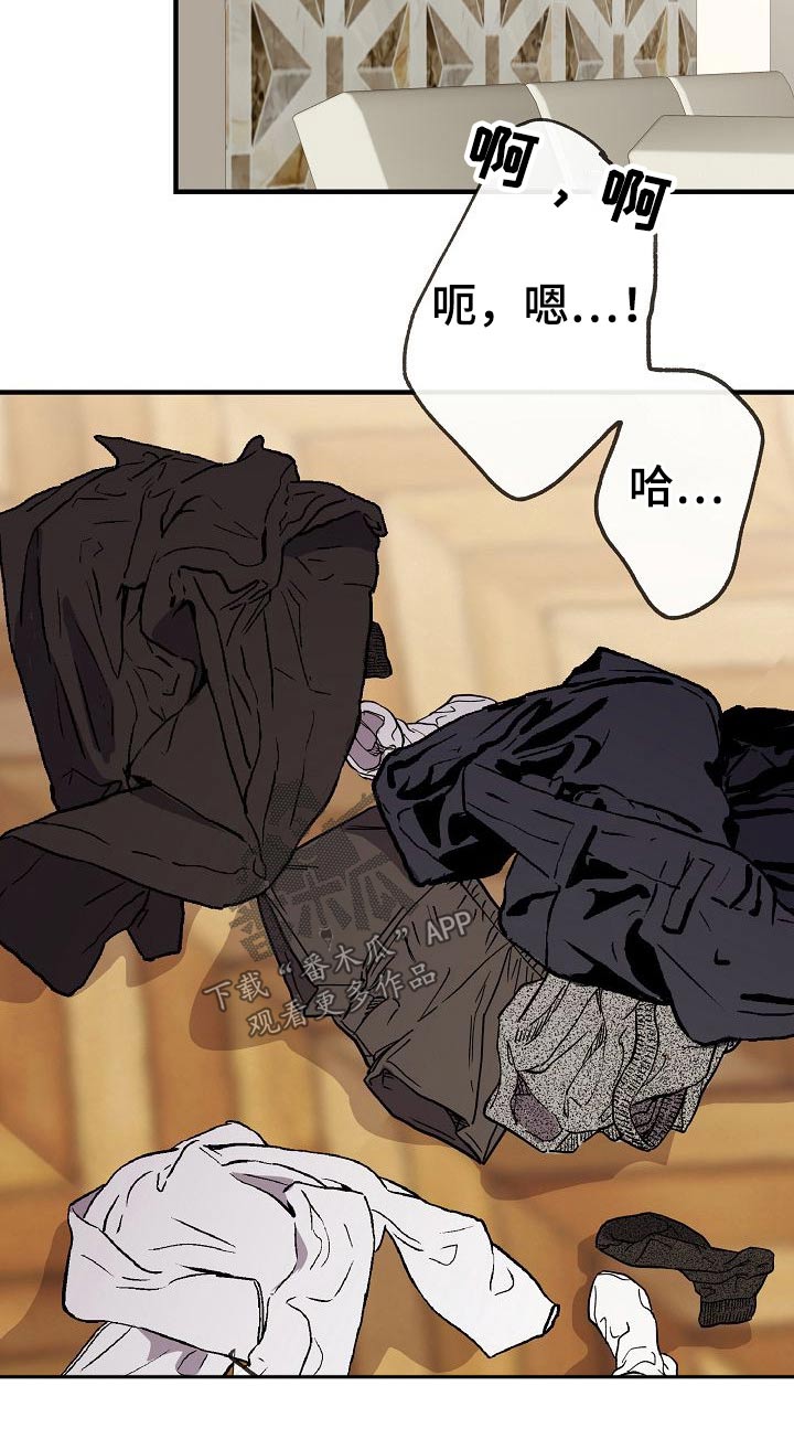 《落跑甜心》第78章【第一季番外】幸福 第15页