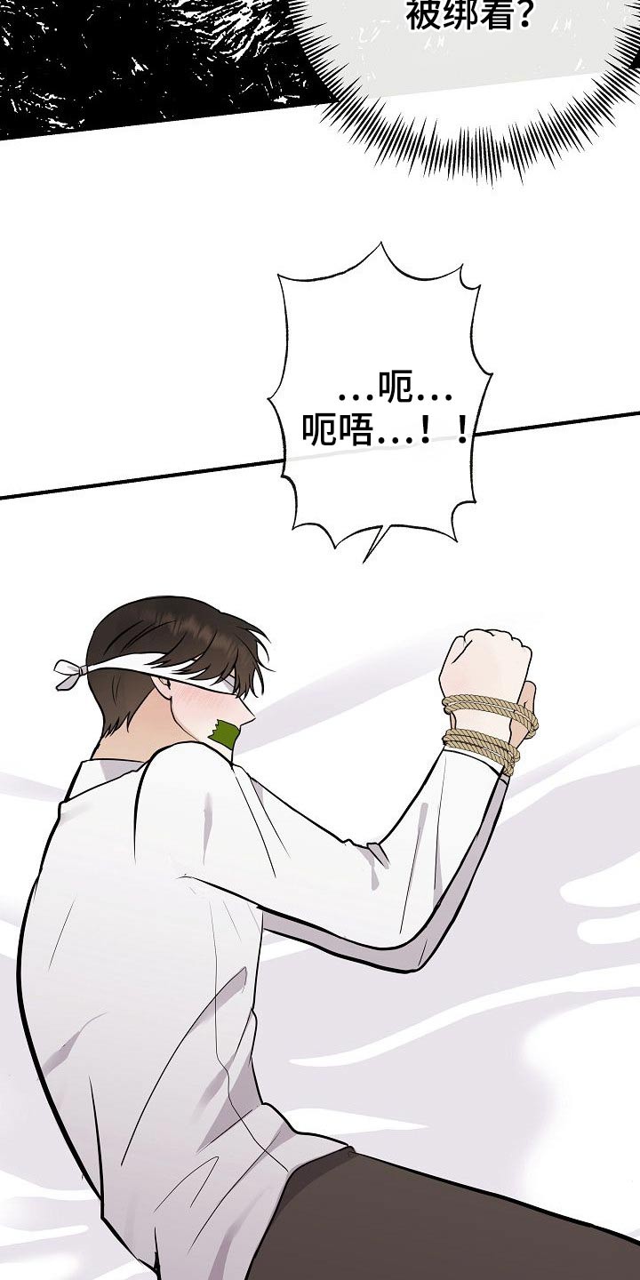 《落跑甜心》第69章绑住 第18页