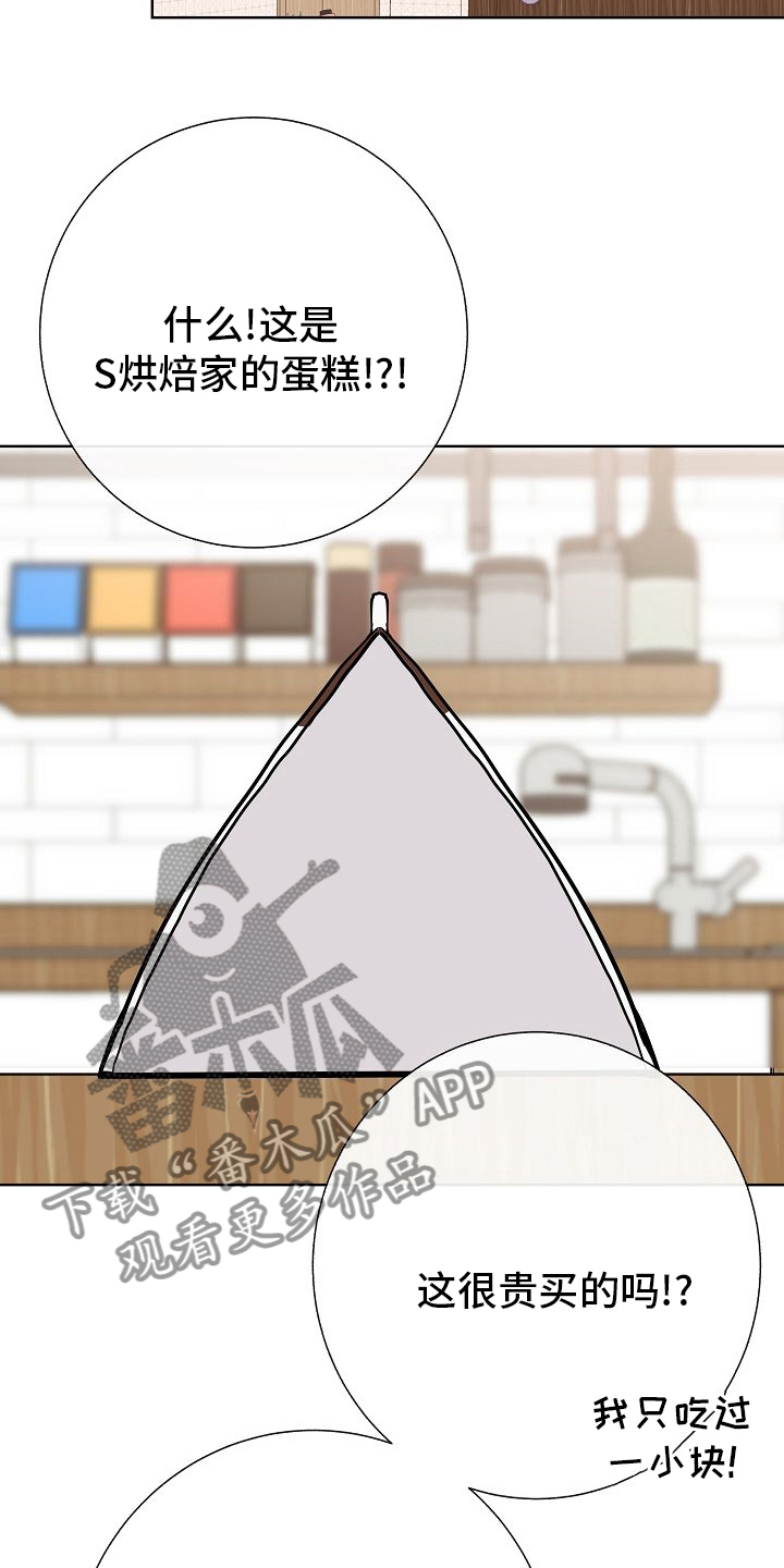 《落跑甜心》第34章愿望 第7页