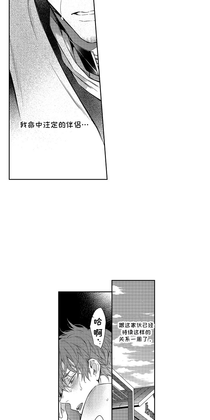 《幸福还远吗》第8章命中伴侣 第9页