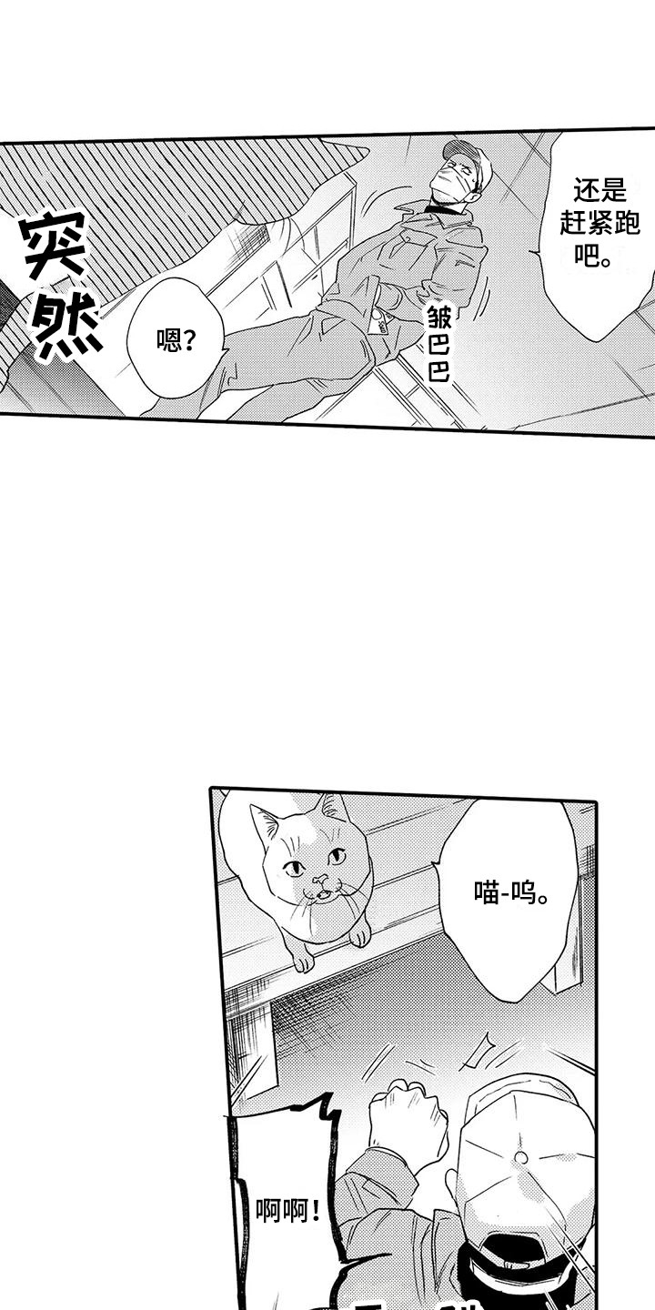 《我的警官先生》第19章入室抢劫 第10页