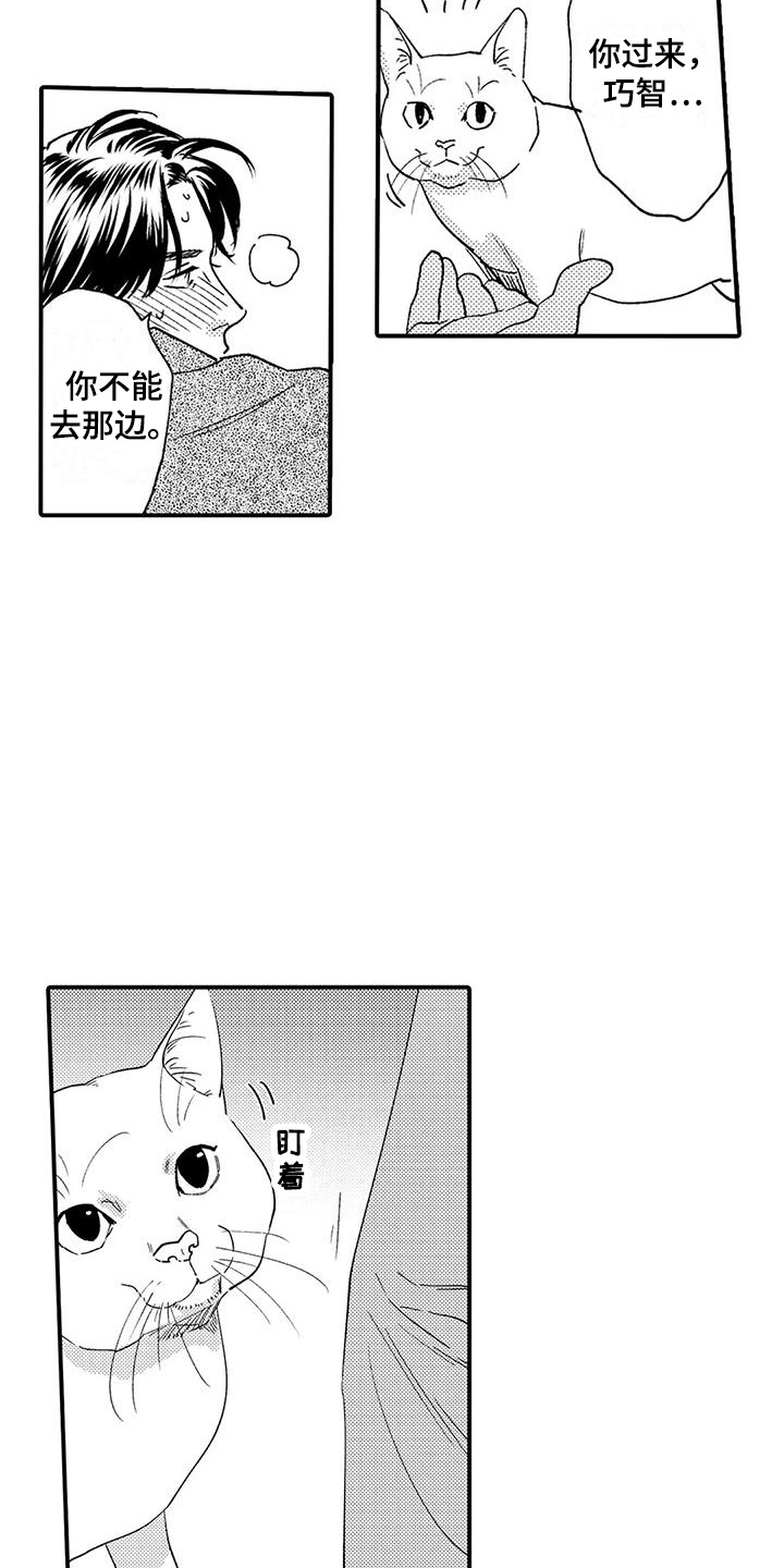 《我的警官先生》第19章入室抢劫 第12页