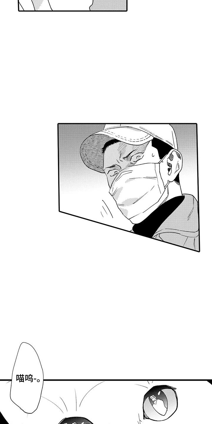 《我的警官先生》第19章入室抢劫 第13页