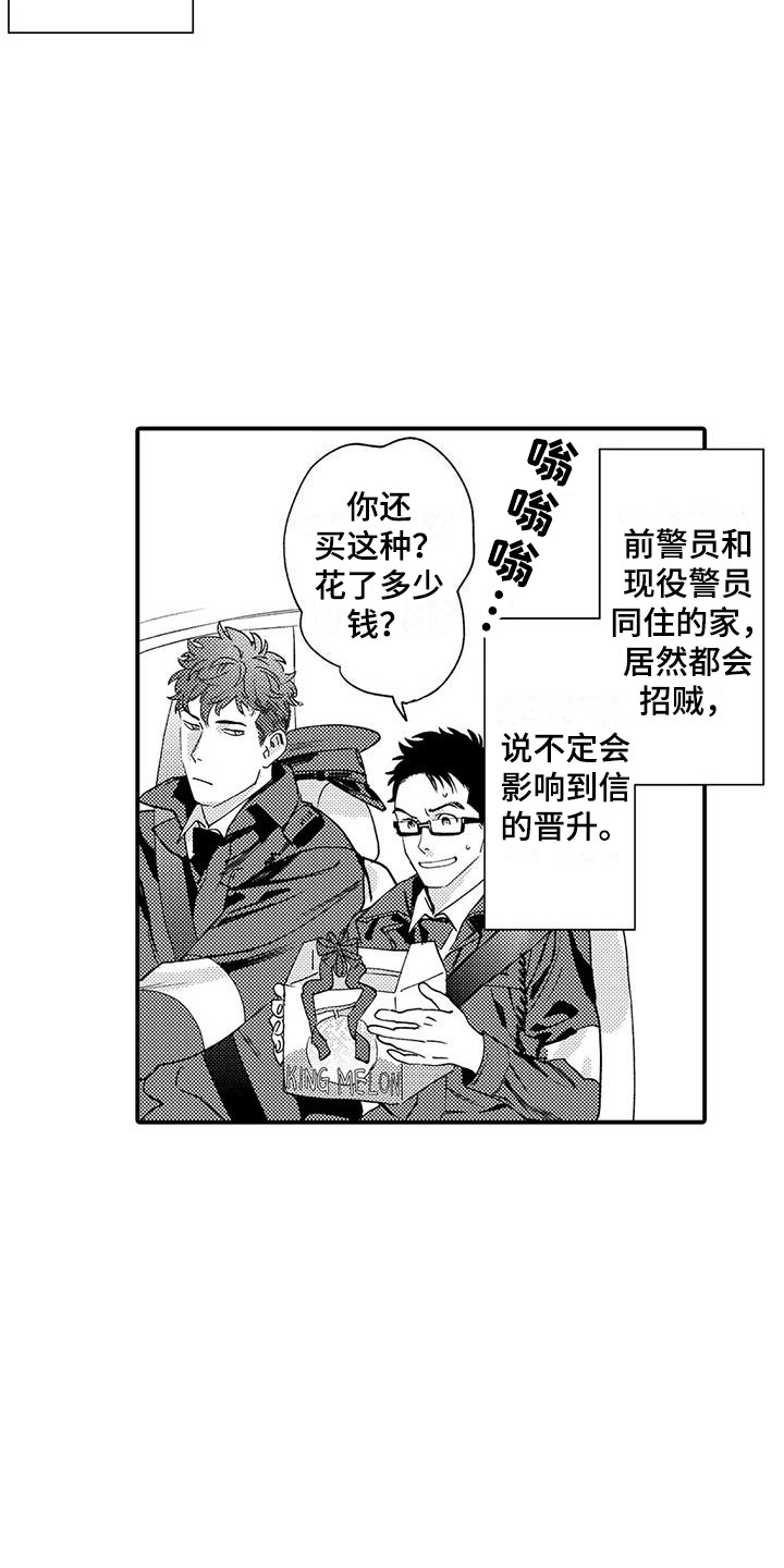 《我的警官先生》第19章入室抢劫 第6页